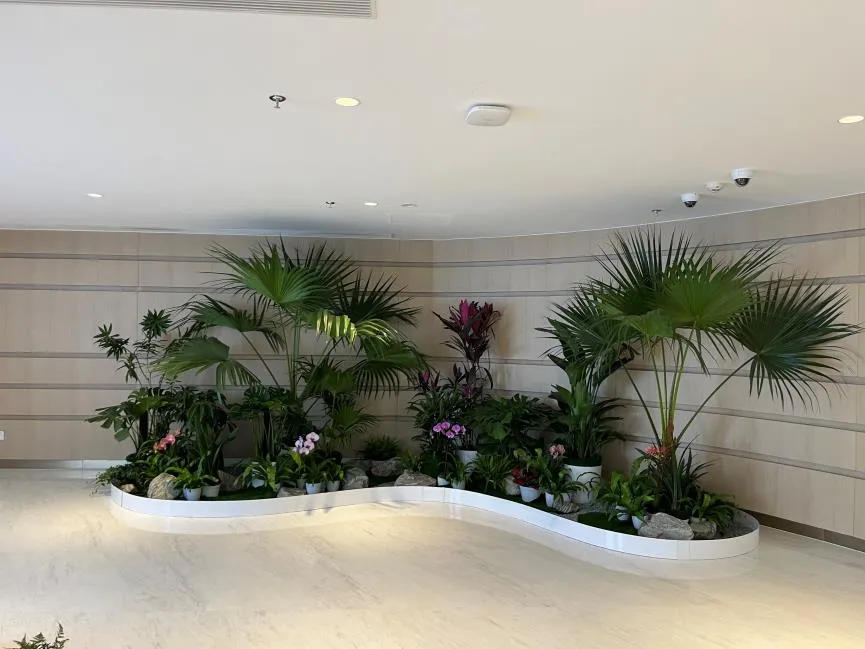 宁波奉化绿化修剪专业，让绿植焕发生机活力